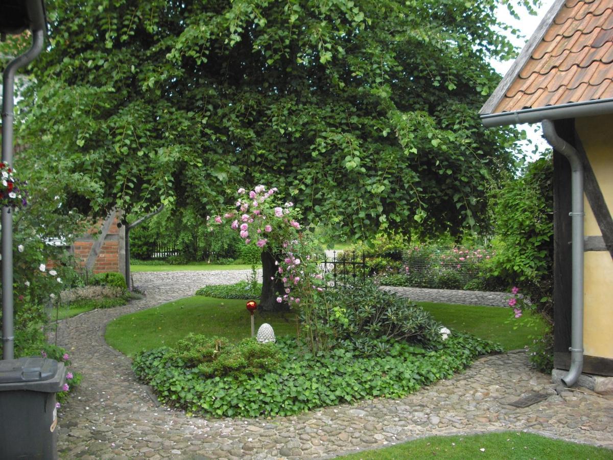 Landhaus Kiesow Suderburg Exterior photo